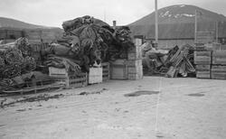 Større mengder utstyr av forskjellig art samlet på kaia. Dette utstyr ble etter hvert hentet av lasteskipet «Mungo» og sendt til Bodø.

I bakgrunnen ses Husbykollen.