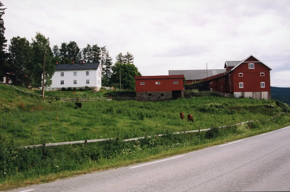 Finni, søndre