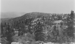 Skogslandskap med fjell. Ukjent sted og tid.