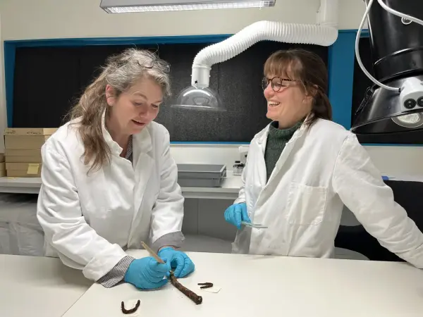 To kvinnelige konservatorer i hvite frakker undersøker arkeologisk materiale i et laboratorium