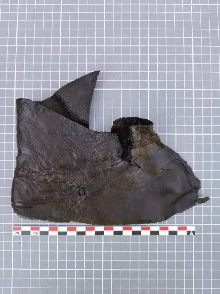 en lav barnestøvel fra middelalderen, laget i mørkt lær, funnet under arkeologiske utgravninger ved Bjørvika skole.