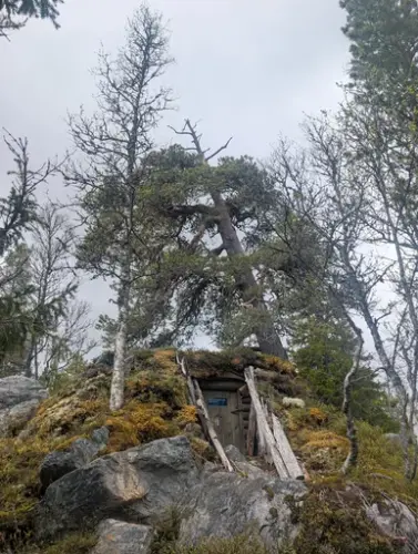 En motstandskoie bygd under et furutre. Kamuflert med torv og mose. Foran er det en enkel dør. 