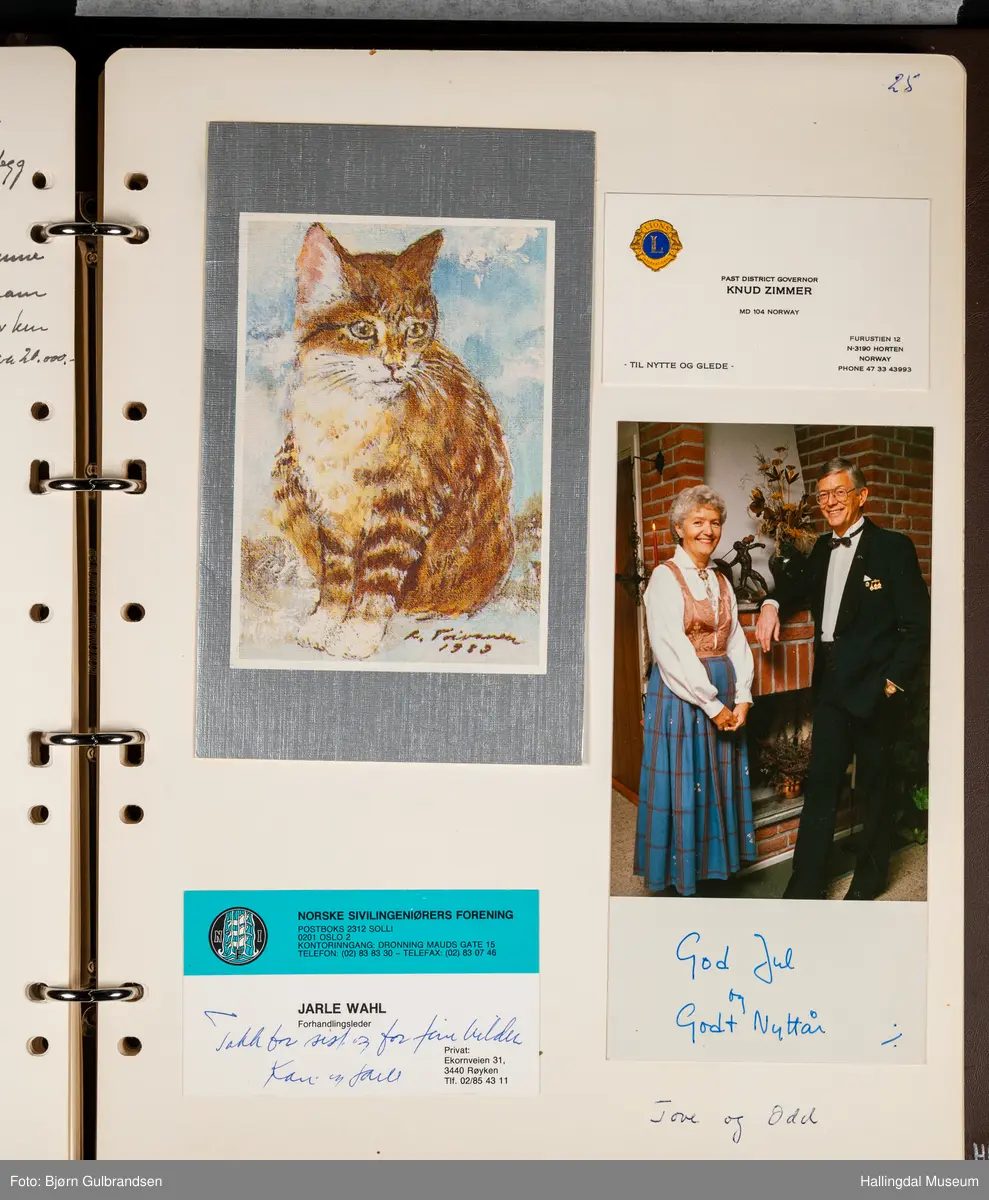 Et brunt album med 80 sider med tekst og bilder. Laget av Lions Club Nesbyen.   