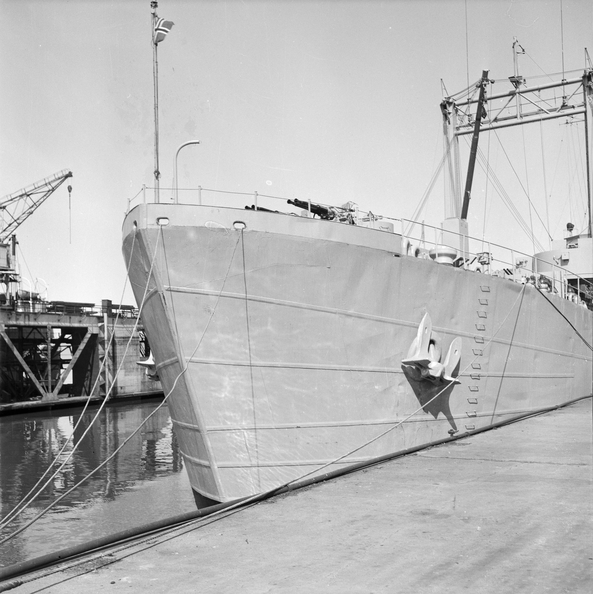 M/S Ellida