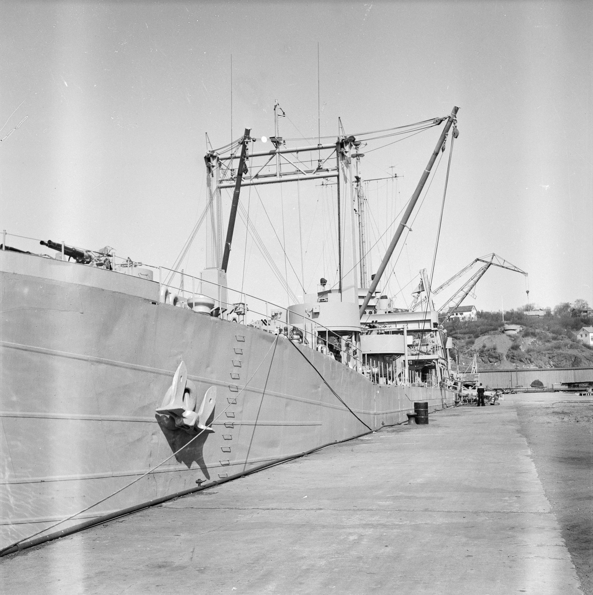 M/S Ellida