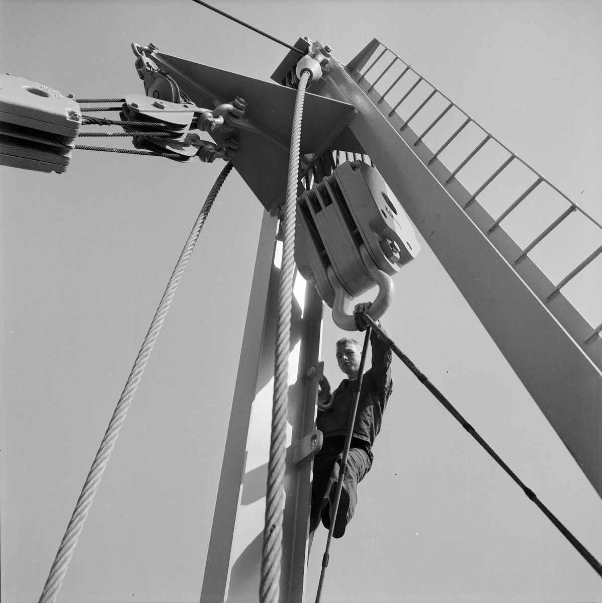 M/S Ellida
