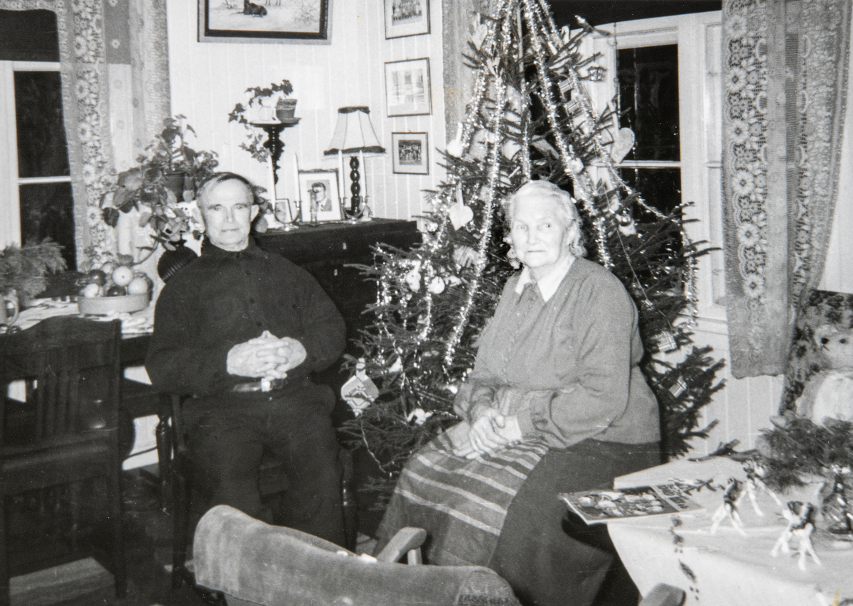 Jul i stua Lunde på Jessnes.  Joachim Carlsen og Inger Carlsen sitter på hver sin side av juletreet.