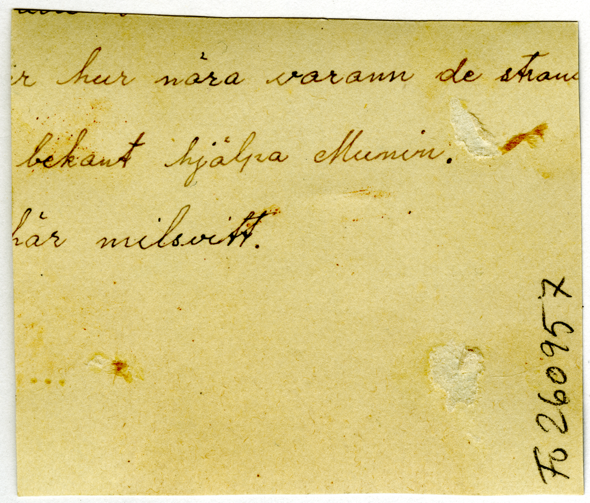 S/S MUMIN i vinterisen.