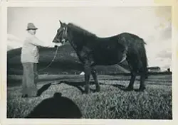 Hans Leonhard Larsen og hest