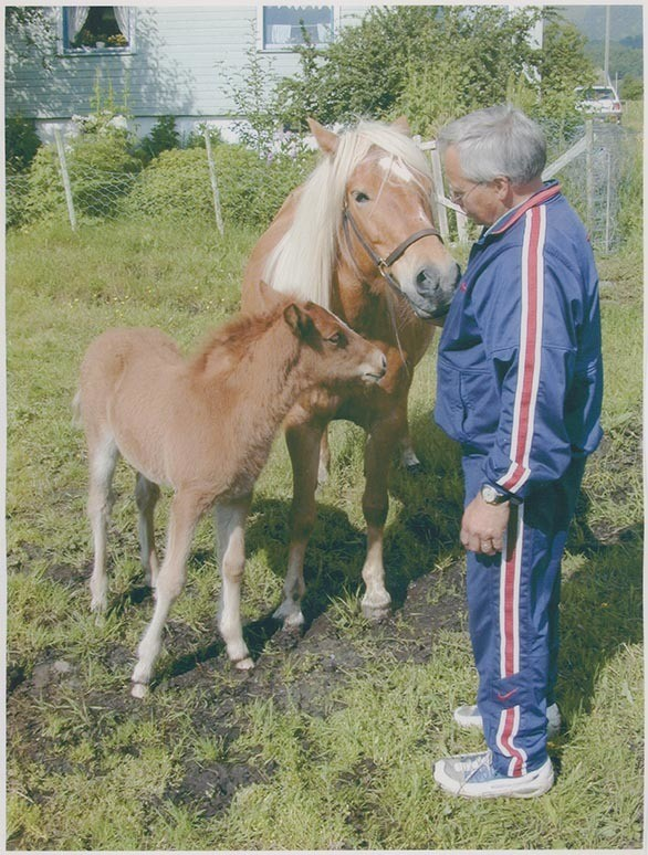 Fotografi av lyngshest, Leif Larsen og hans foreldre, Hans Leonhard Larsen og Astrid Helene Larsen. Hans L. Larsen med hest og plog. Leif Larsen med hest og føll, samt på trappa omgitt av blomster han selv dyrket.