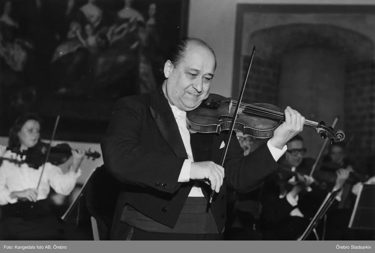 Violinist i rikssalen på slottet

Karel Sneberger