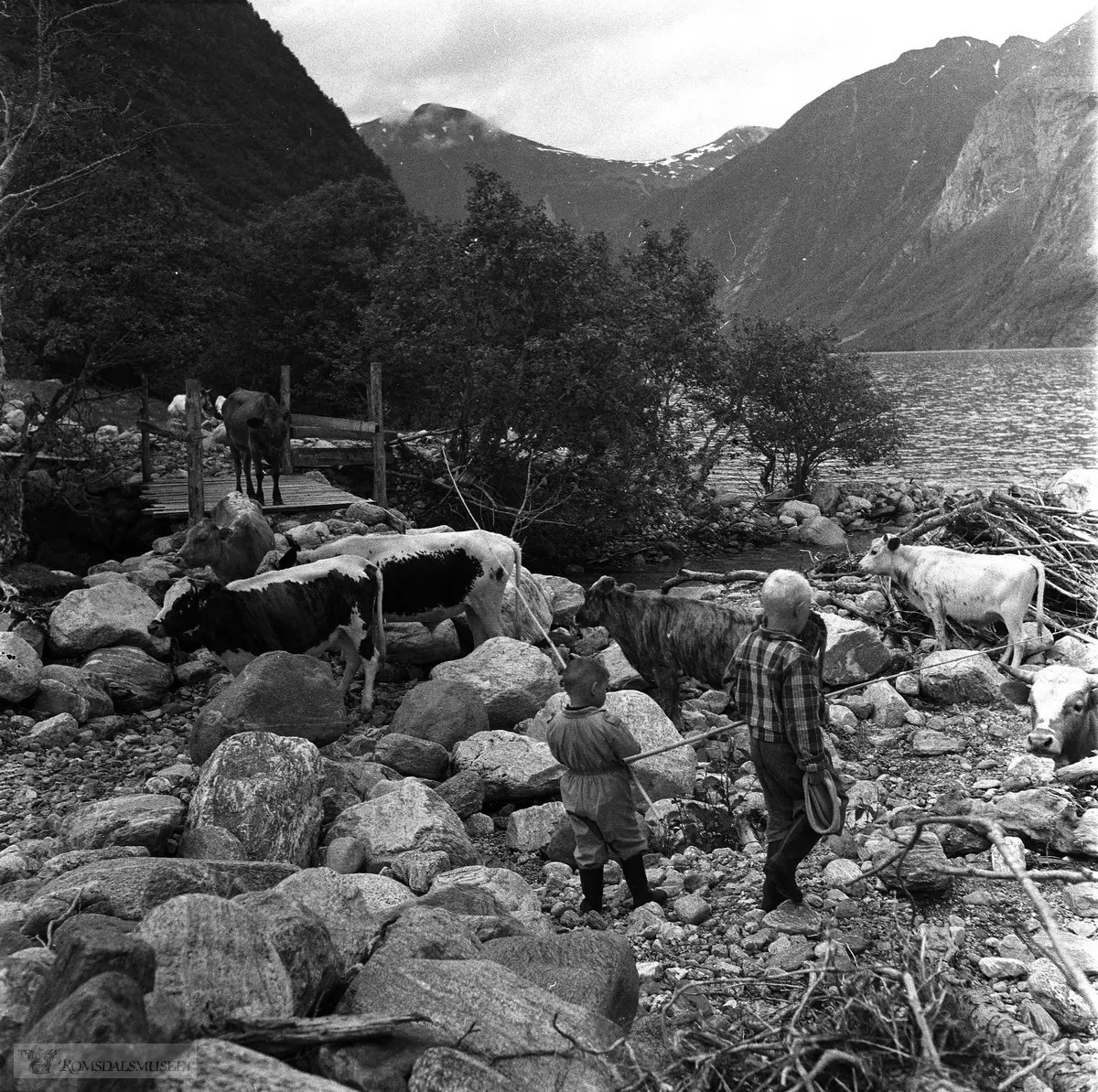 Hoem, Eikesdalen gnr. 82. kring 1954-57. Ved brua over Hoemelva.