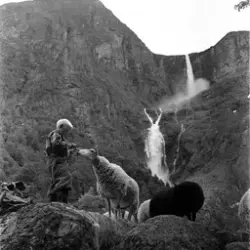 Mardalsfossen.