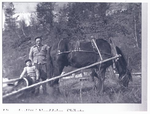 Foto fra arkivet etter lyngshestentusiasten Leif Asbjørn Larsen (1935-2009) fra Lyngseidet. Lyngshesten Oksnes Røder, Elida Nergård Pollen og hesten Molly, lyngshestene Tokse Tyra, Waltenburg Gaute og Waltenburg Jard. Samt gårdsarbeid, deriblant ett foto fra utmarkslått i Norddalen, Skibotn.