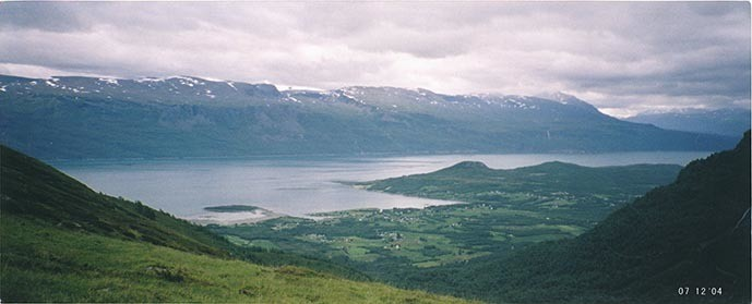 Fotografi av lyngshest, sau, blomster, Leif Larsen og andre.
