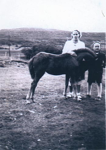 Foto fra arkivet etter lyngshestentusiasten Leif Asbjørn Larsen (1935-2009) fra Lyngseidet. Lyngshesten Oksnes Røder, Elida Nergård Pollen og hesten Molly, lyngshestene Tokse Tyra, Waltenburg Gaute og Waltenburg Jard. Samt gårdsarbeid, deriblant ett foto fra utmarkslått i Norddalen, Skibotn.