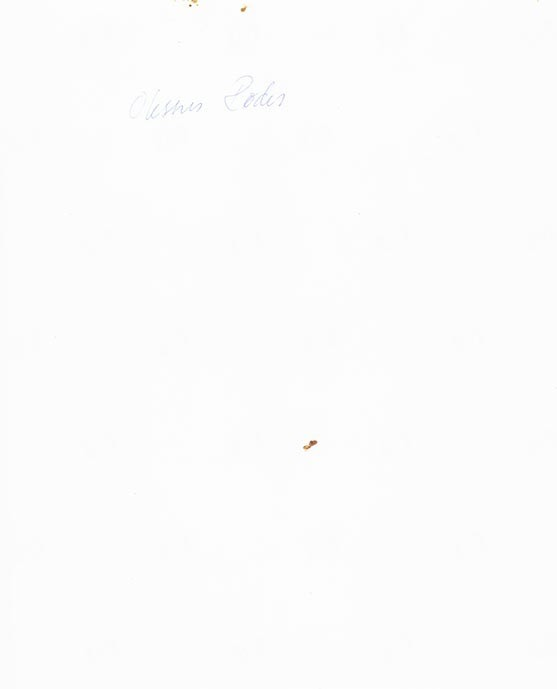 Foto fra arkivet etter lyngshestentusiasten Leif Asbjørn Larsen (1935-2009) fra Lyngseidet. Lyngshesten Oksnes Røder, Elida Nergård Pollen og hesten Molly, lyngshestene Tokse Tyra, Waltenburg Gaute og Waltenburg Jard. Samt gårdsarbeid, deriblant ett foto fra utmarkslått i Norddalen, Skibotn.