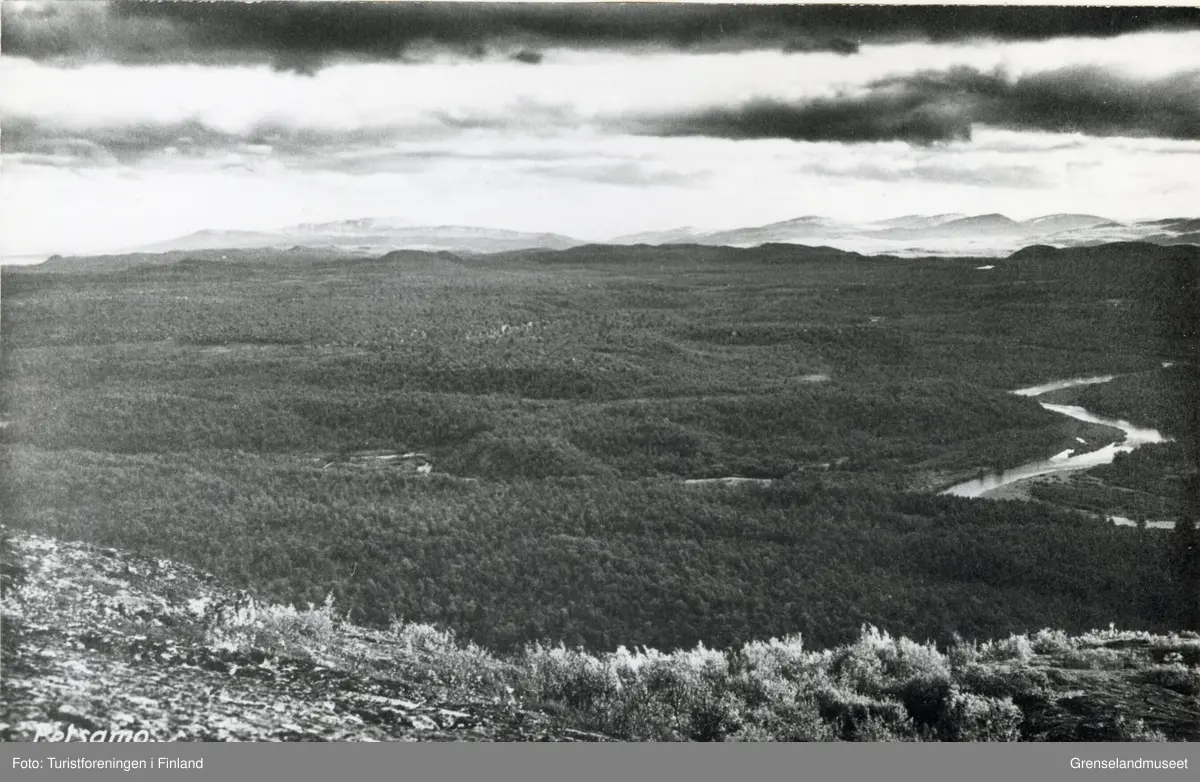 Tett skoglandskap med fjell i bakgrunnen og Petsamo (Petsjenga) elva til høyre.