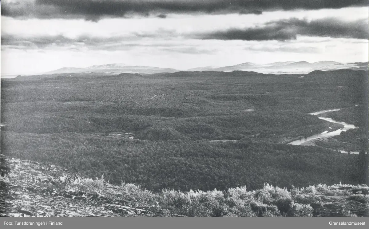 Tett skoglandskap med fjell i bakgrunnen og Petsamo (Petsjenga) elva til høyre.
