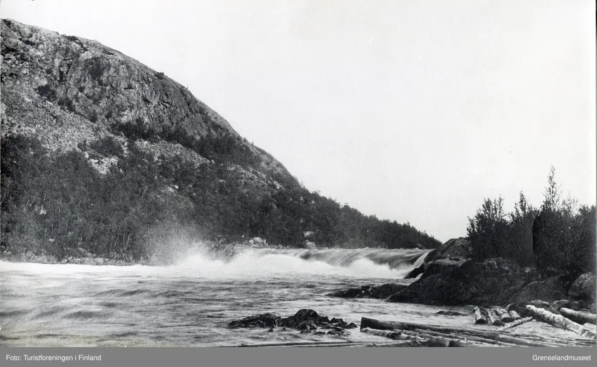 Skoltefossen i Boris Gleb omringet av skog og fjell, og tømmerstokker flytende nedstrøms. 