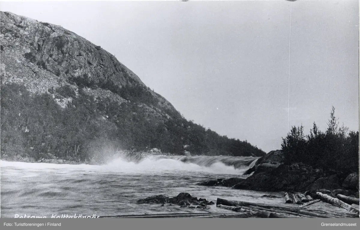 Skoltefossen i Boris Gleb omringet av skog og fjell, og tømmerstokker flytende nedstrøms. 