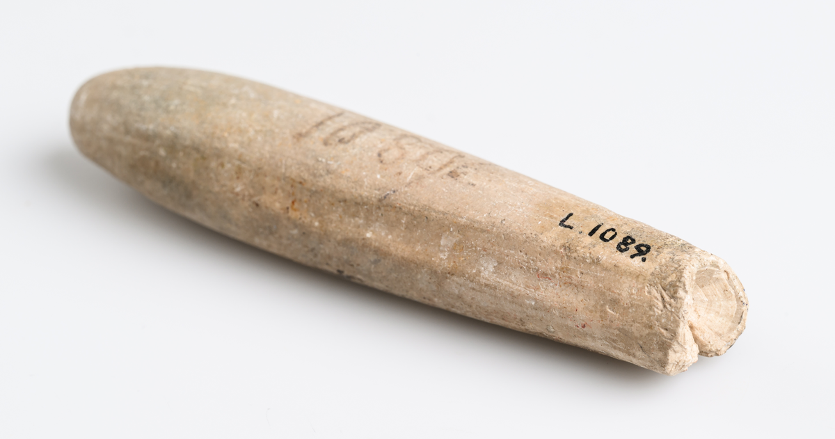 Fossil av belemniter med cigarrliknande form. S.k. vätteljus/vättaljus. Från Skåne/Kullaberget.

Inskrivet i huvudkatalog 1872.
