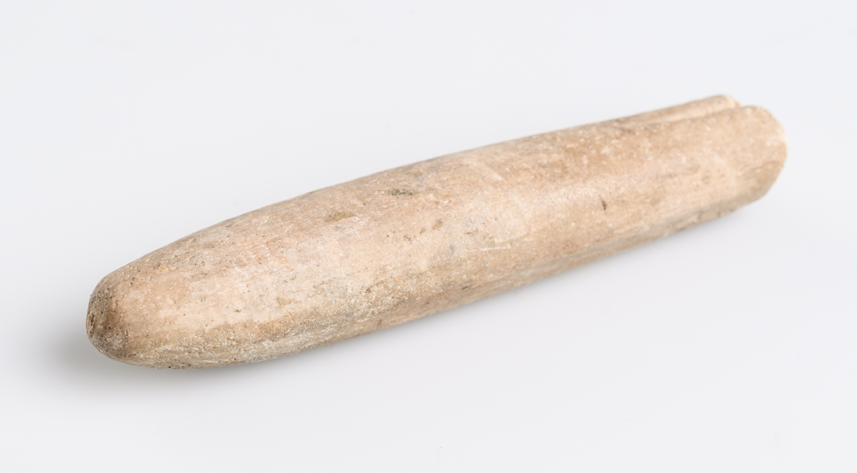 Fossil av belemniter med cigarrliknande form. S.k. vätteljus/vättaljus. Från Skåne/Kullaberget.

Inskrivet i huvudkatalog 1872.
