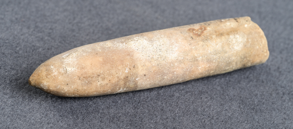 Fossil av belemniter med cigarrliknande form. S.k. vätteljus/vättaljus. Funnen i Oby 1847.

Inskrivet i huvudkatalog 1876.