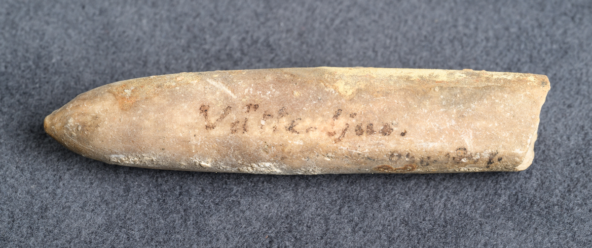 Fossil av belemniter med cigarrliknande form. S.k. vätteljus/vättaljus. Funnen i Oby 1847.

Inskrivet i huvudkatalog 1876.