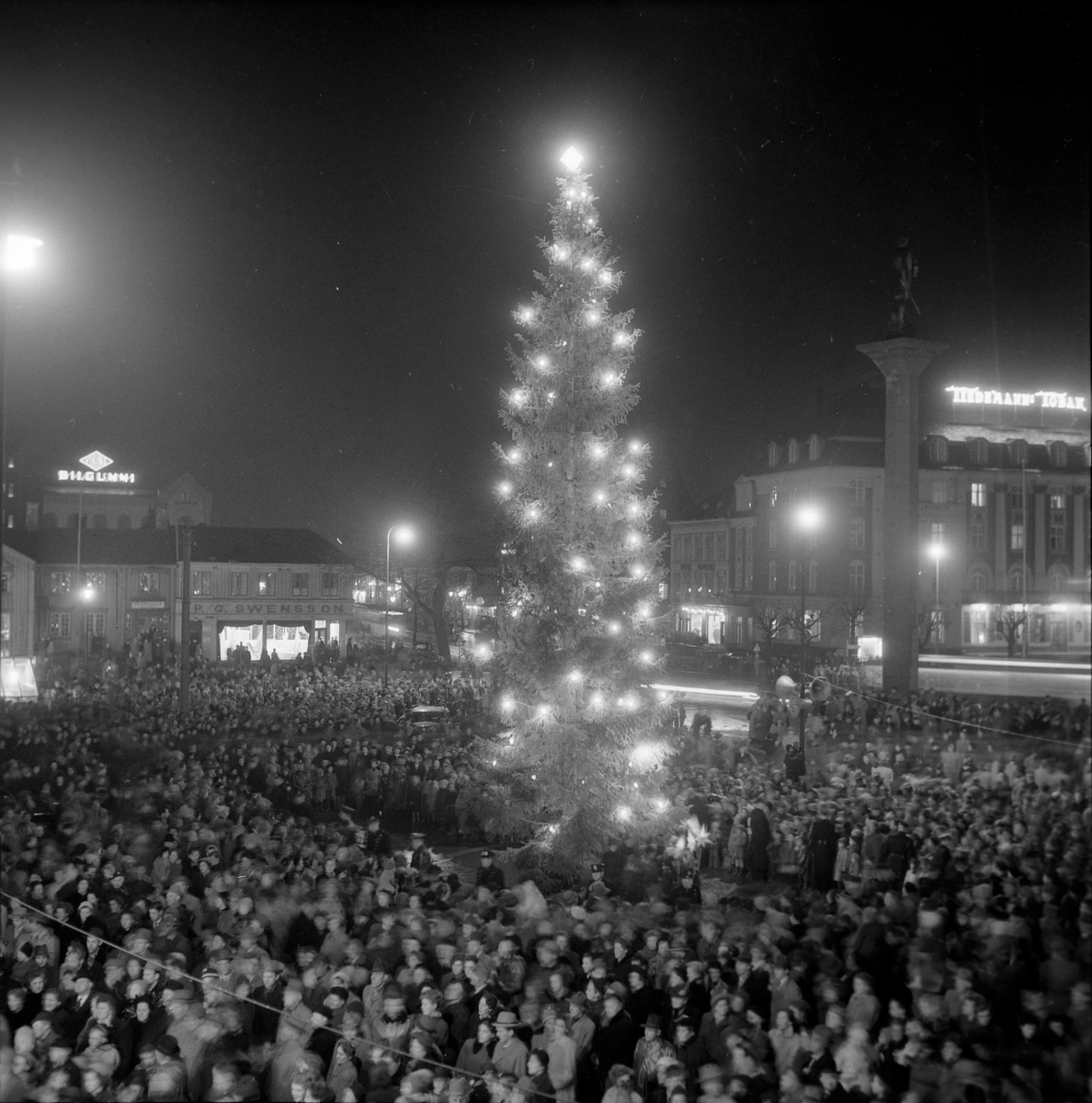 Juletreet i Trondheim tennes