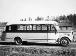 Buss.