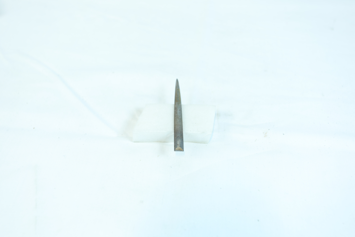 Flat og avlang metallgjenstand med en tilspisset ende. 