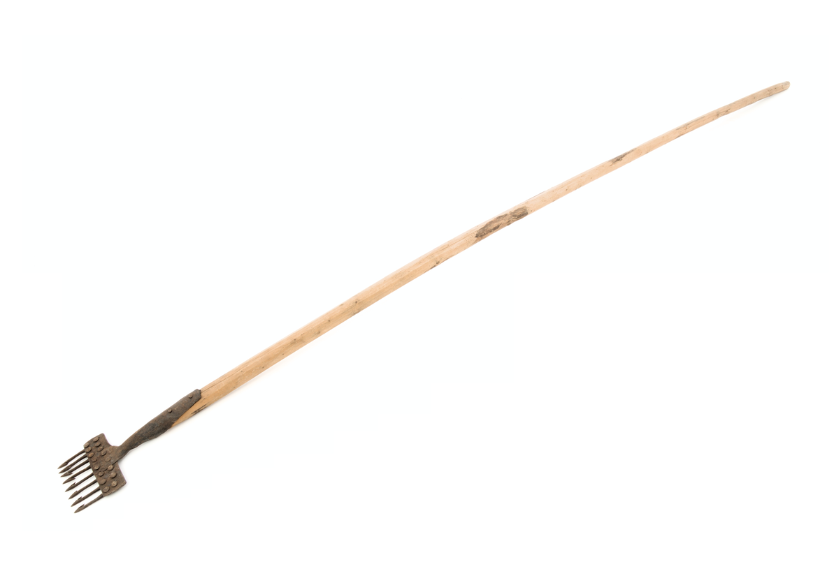 Gaffelforma reiskap med tindar med mothakar.