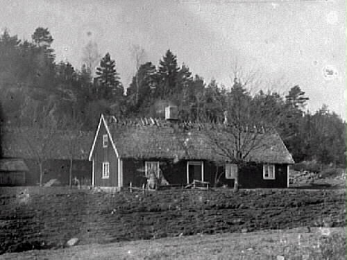 Familjen Johanssons hem i Normanstorp, Gällared. Vy över upplöjd åker mot bostadhuset med ekonomibyggnad i bakgrunden. Vid fasaden ser det ut att stå två bikupor.