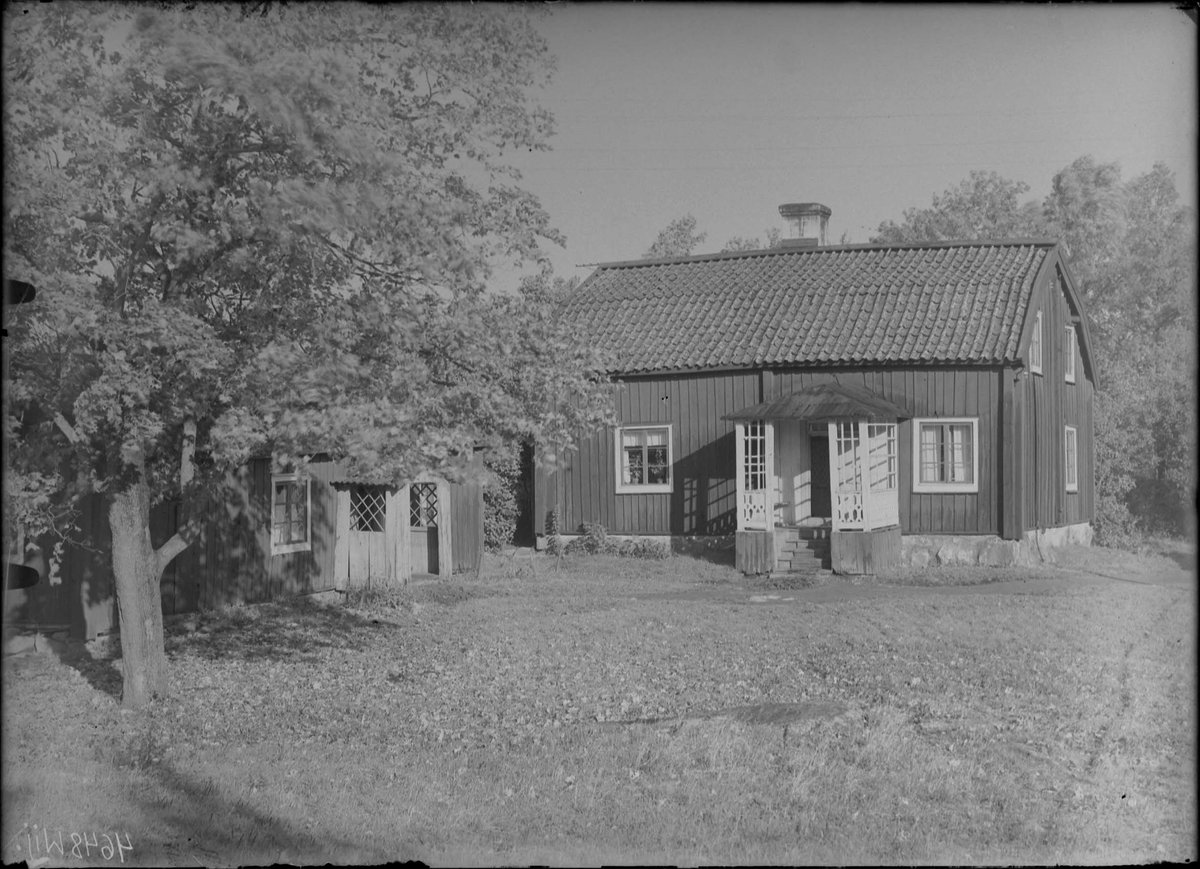 Fotografering beställd av Agnes Pettersson.