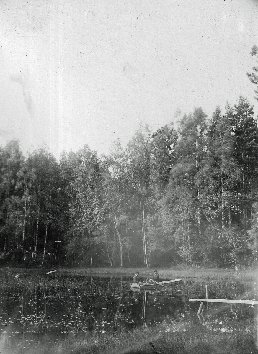 Parti från Såtenäs, ett av Västergötlands större gods, tidigt 1900-tal.