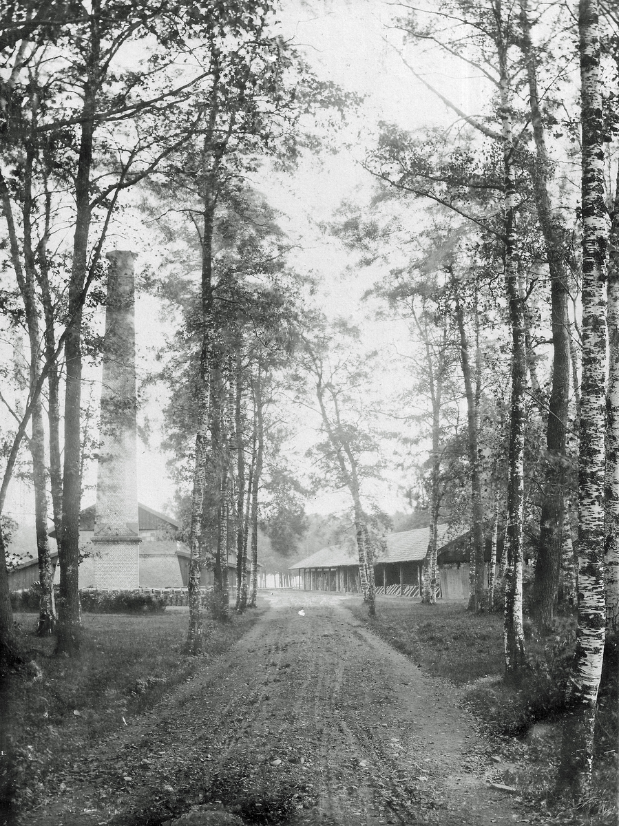 Ekonomibyggnader på Såtenäs, ett av Västergötlands större gods, tidigt 1900-tal.