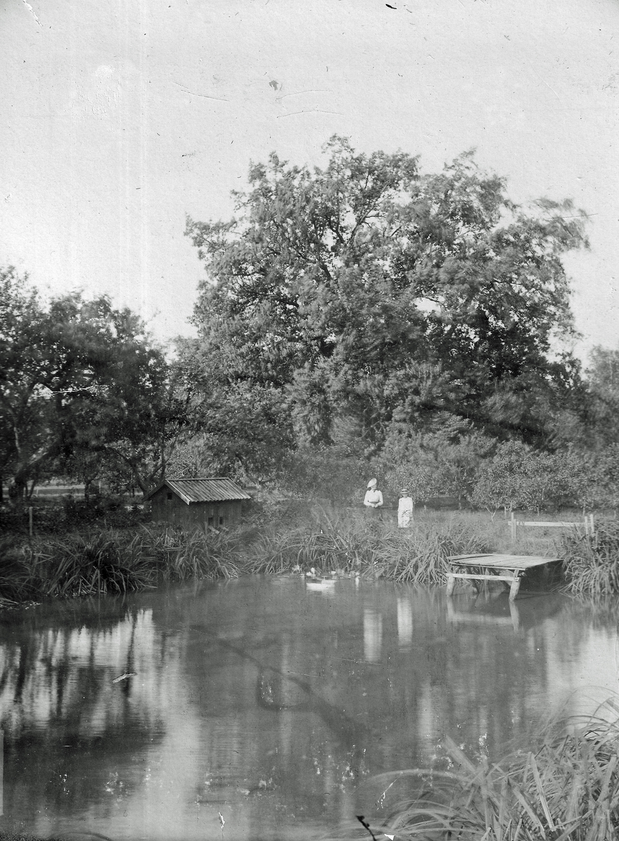 Parti från Såtenäs, ett av Västergötlands större gods, tidigt 1900-tal.