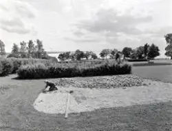 BROSTEINSLEGGING I URTEHAGEN, GUNNAR RØISLIHDH. 100