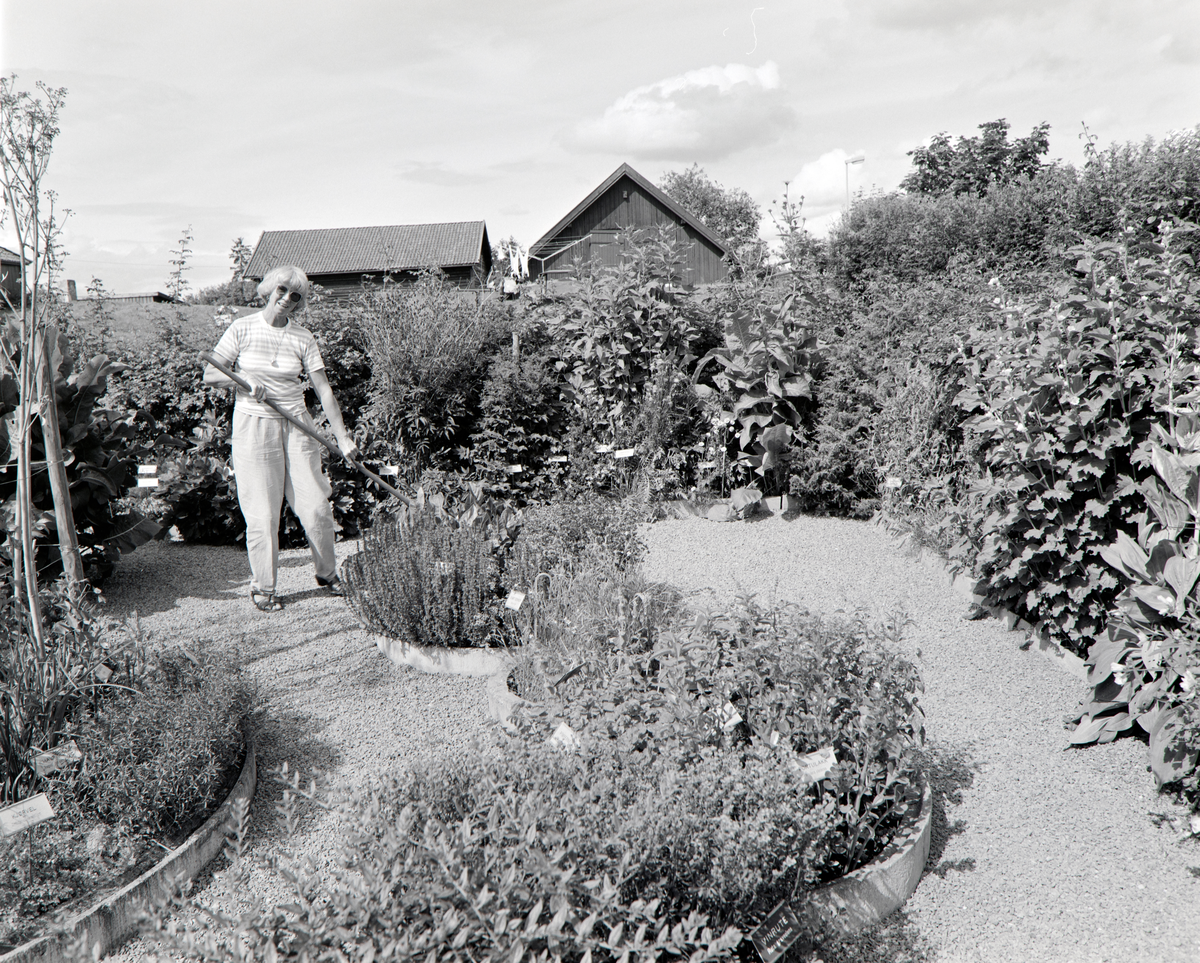URTEHAGEN, CECILIE JENSEN, HDH. 100
