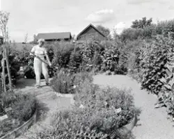 URTEHAGEN, CECILIE JENSEN, HDH. 100