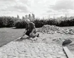 BROSTEINSLEGGING I URTEHAGEN, GUNNAR RØISLIHDH. 100