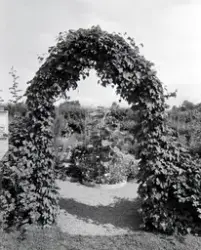 URTEHAGEN, CECILIE JENSEN, HDH. 100