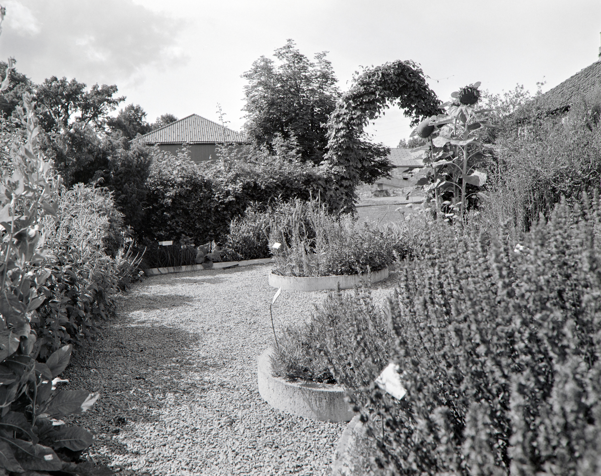 URTEHAGEN, CECILIE JENSEN, HDH. 100