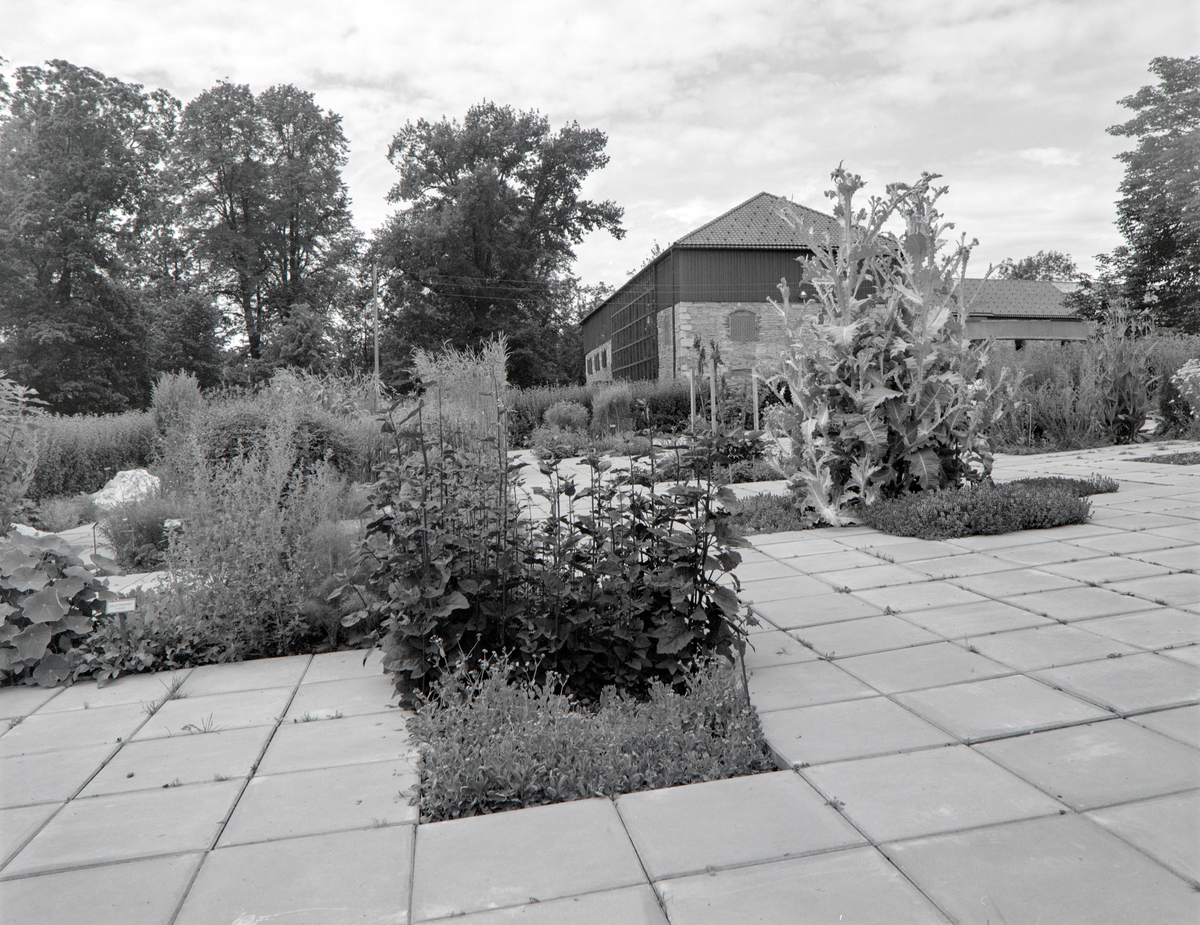 HDH100. URTEHAGEN. OVERSIKT. 