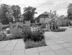 HDH100. URTEHAGEN. OVERSIKT.