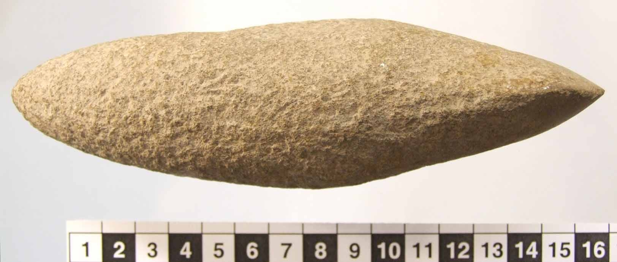 Trindyxa. Bandelens snitt ovalt, eggdelens snitt spetsovalt. Osymetrisk form. Spetsig nacke. Rund egg, med antydan till egghörn.