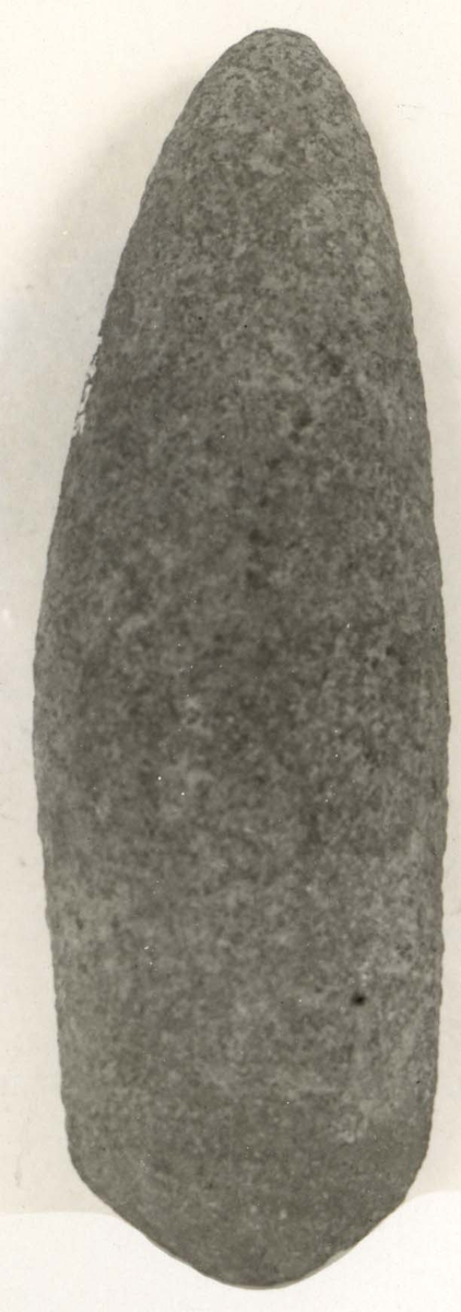 Trindyxa. Bandelens snitt ovalt, eggdelens snitt spetsovalt. Osymetrisk form. Spetsig nacke. Rund egg, med antydan till egghörn.
