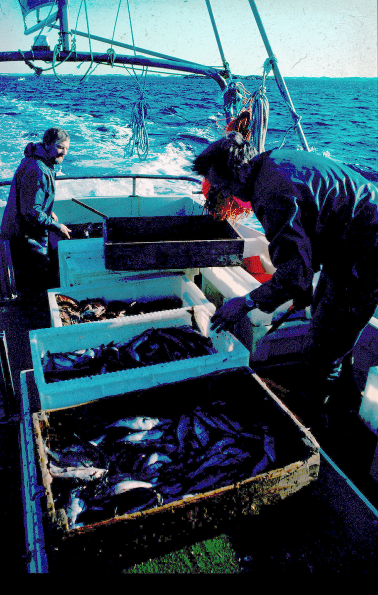Ukjente menn ombord en båt, kasser med fisk på dekk
