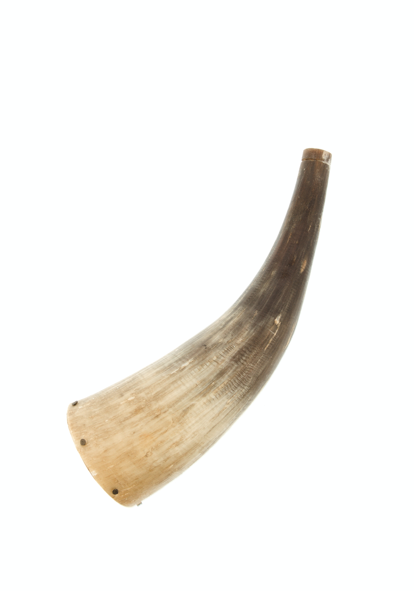 Horn med faststifta trebotn.